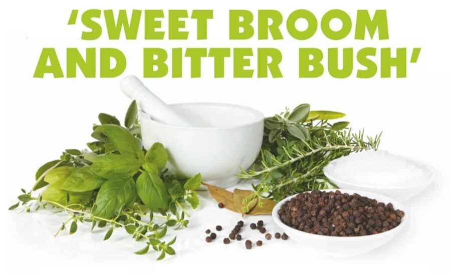 A white mortar and pestle surrounded by fresh green herbs, black peppercorns, and a bowl of salt, with the text “SWEET BROOM AND BITTER BUSH” above.